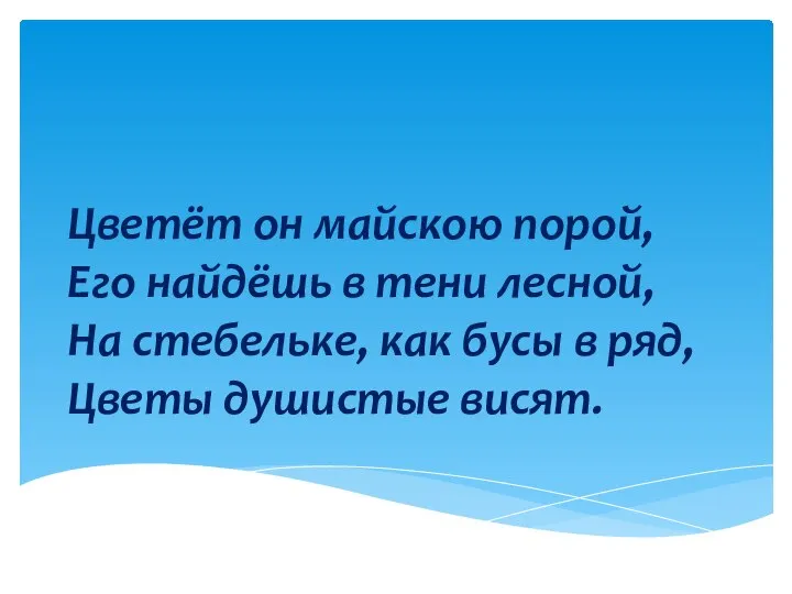 Цветёт он майскою порой, Его найдёшь в тени лесной, На стебельке,