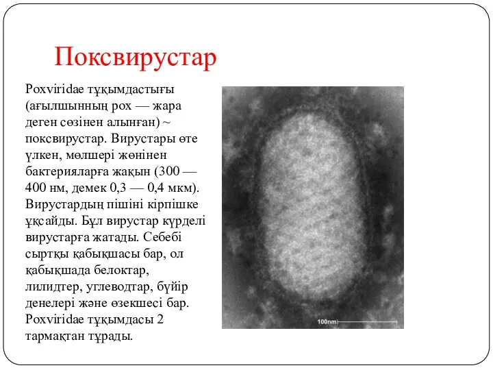 Поксвирустар Poxviridae тұқымдастығы (ағылшынның pox — жара деген сөзінен алынған) ~