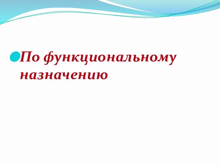 По функциональному назначению