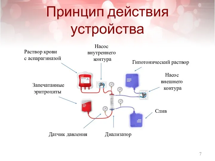 Принцип действия устройства Раствор крови с аспарагиназой Запечатанные эритроциты Гипотонический раствор