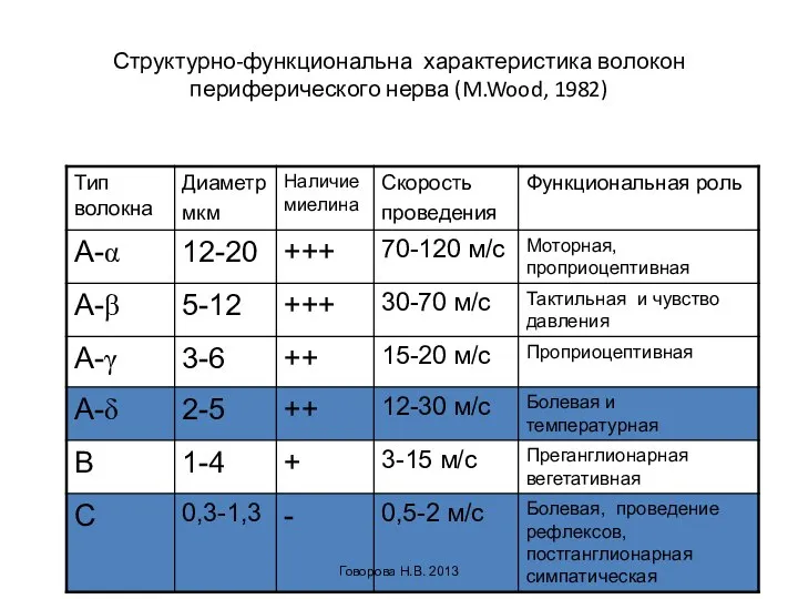 Структурно-функциональна характеристика волокон периферического нерва (M.Wood, 1982) Говорова Н.В. 2013