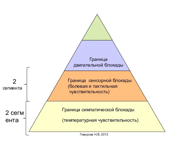 Граница симпатической блокады (температурная чувствительность) Граница сенсорной блокады (болевая и тактильная