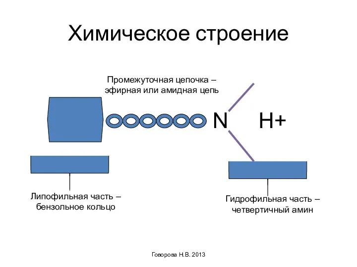 Химическое строение Говорова Н.В. 2013 N H+ Липофильная часть – бензольное