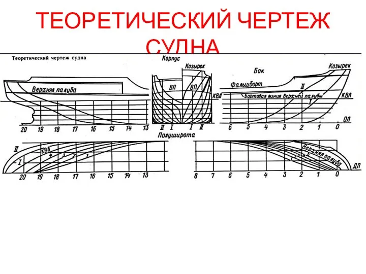 ТЕОРЕТИЧЕСКИЙ ЧЕРТЕЖ СУДНА