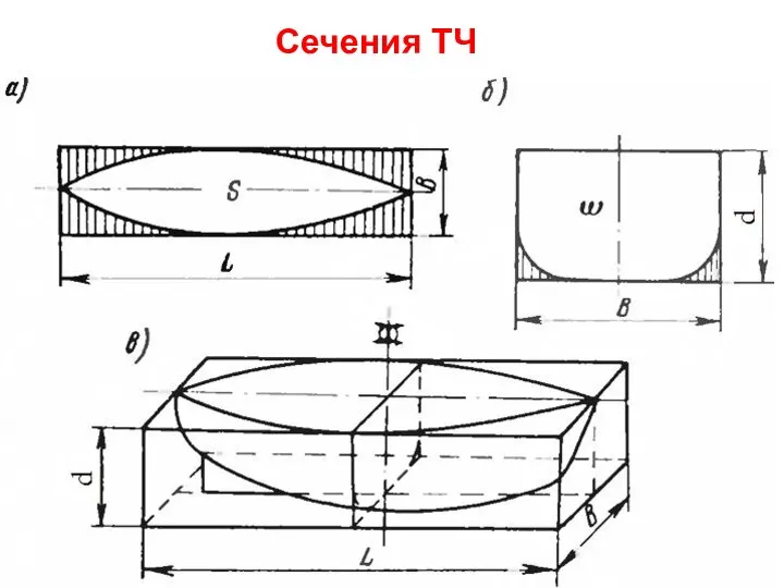 Сечения ТЧ