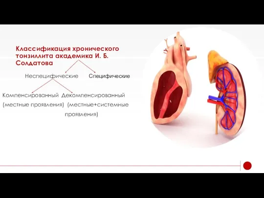 Классификация хронического тонзиллита академика И. Б. Солдатова Неспецифические Компенсированный Декомпенсированный (местные проявления) (местные+системные проявления) Специфические