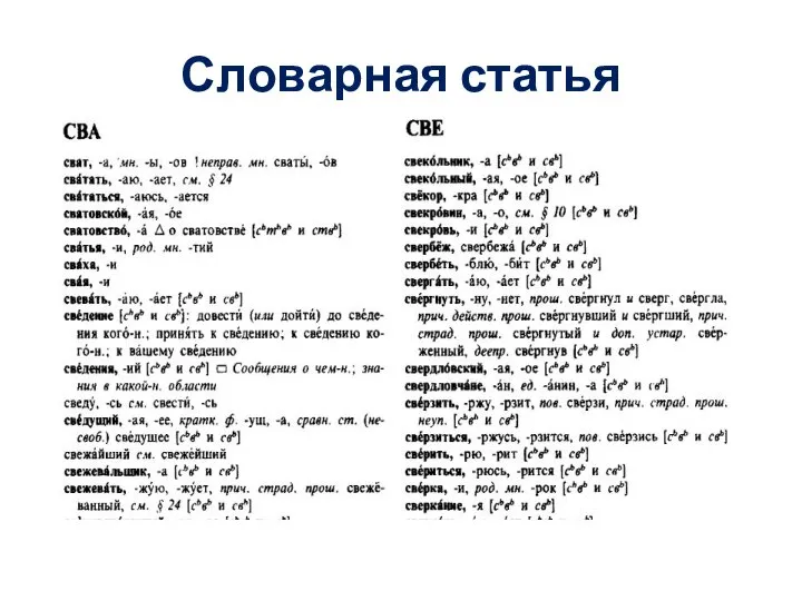 Словарная статья