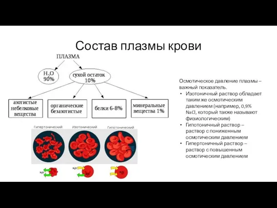 Состав плазмы крови Осмотическое давление плазмы – важный показатель. Изотоничный раствор