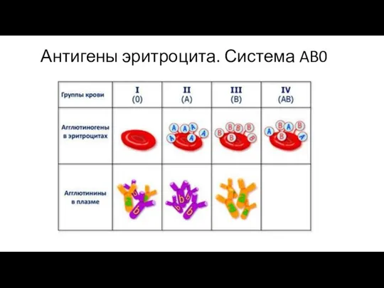 Антигены эритроцита. Система AB0