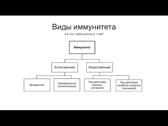 Виды иммунитета 4-8 тыс лейкоцитов в 1 мм³