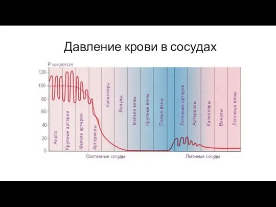 Давление крови в сосудах