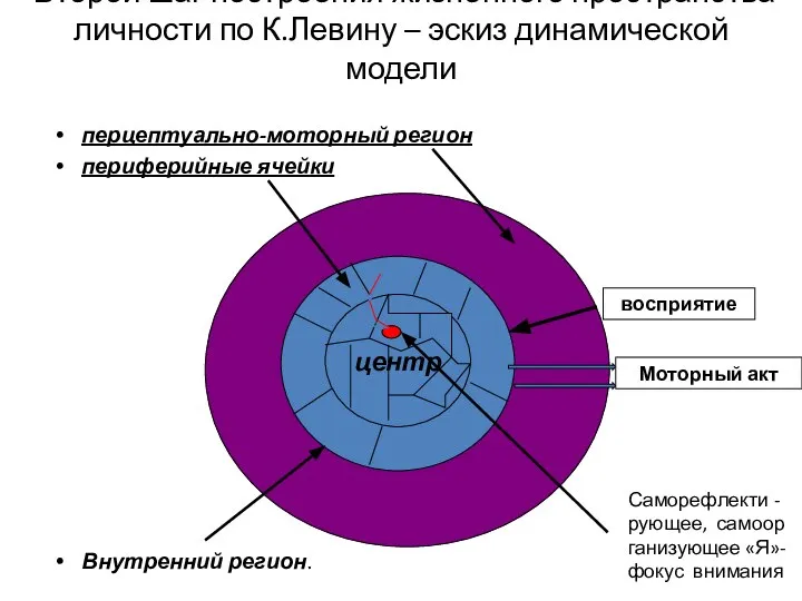 Второй шаг построения жизненного пространства личности по К.Левину – эскиз динамической