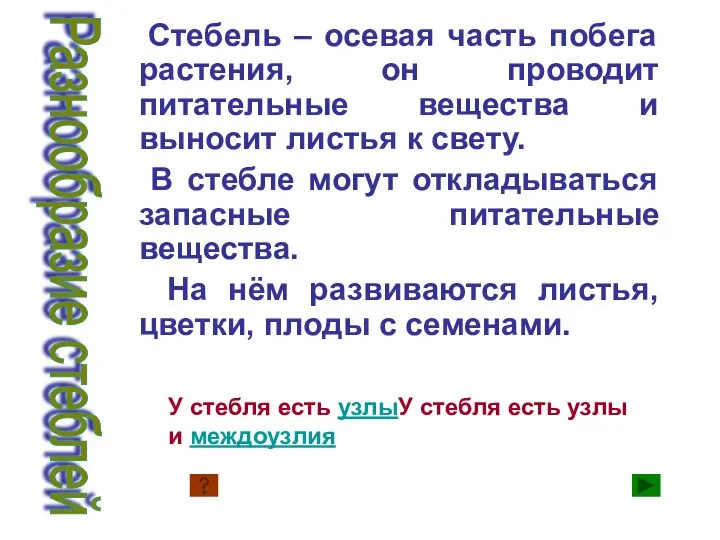 Стебель – осевая часть побега растения, он проводит питательные вещества и