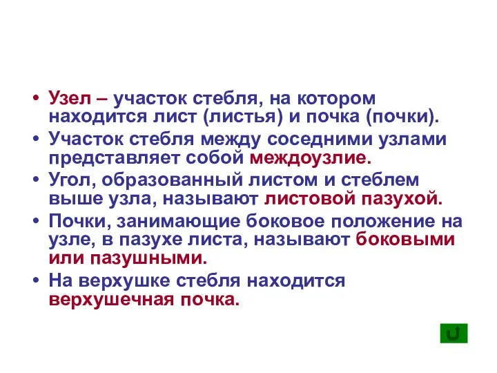 Узел – участок стебля, на котором находится лист (листья) и почка