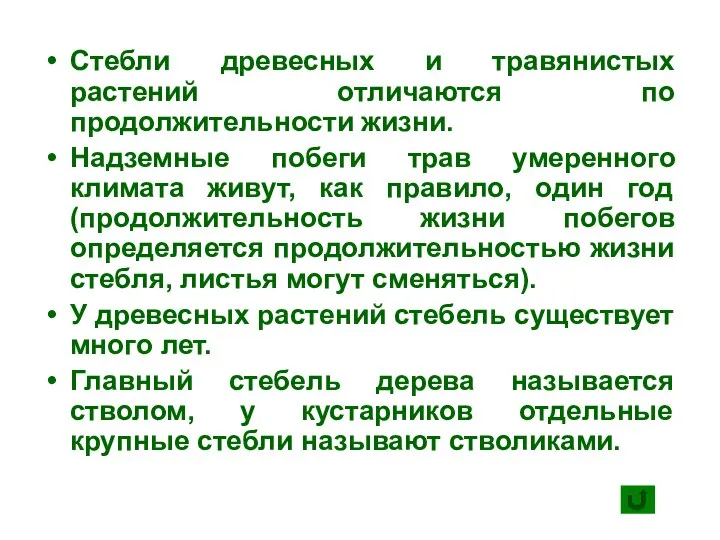 Стебли древесных и травянистых растений отличаются по продолжительности жизни. Надземные побеги