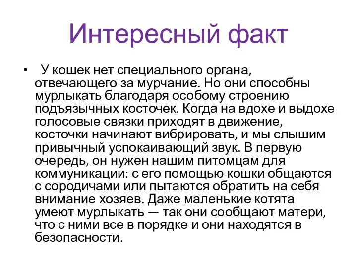 Интересный факт У кошек нет специального органа, отвечающего за мурчание. Но