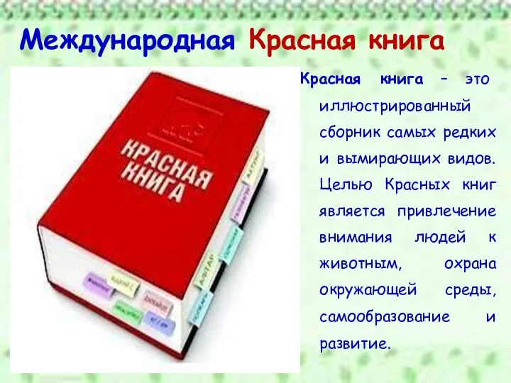 Международная Красная книга Красная книга – это иллюстрированный сборник самых редких