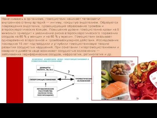 Накапливаясь в организме, гомоцистеин начинает «атаковать» внутреннюю стенку артерий — интиму,