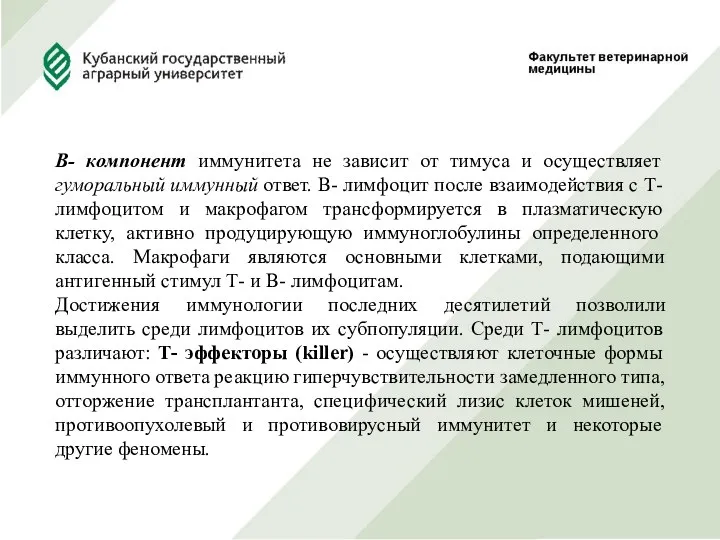 В- компонент иммунитета не зависит от тимуса и осуществляет гуморальный иммунный