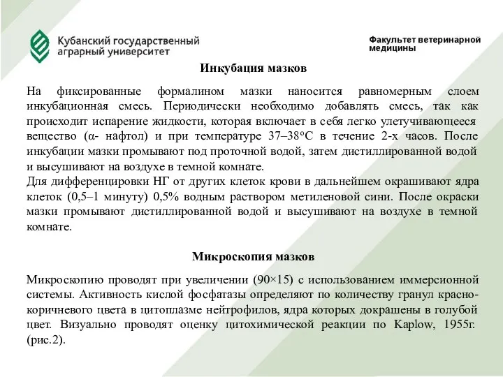 Инкубация мазков На фиксированные формалином мазки наносится равномерным слоем инкубационная смесь.