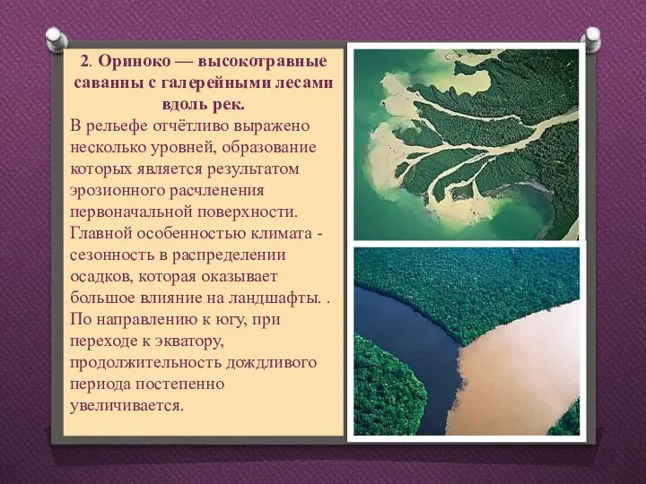 2. Ориноко — высокотравные саванны с галерейными лесами вдоль рек. В