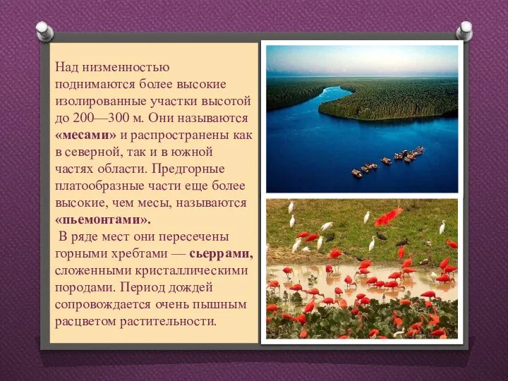 Над низменностью поднимаются более высокие изолированные участки высотой до 200—300 м.