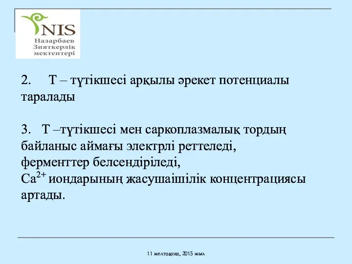 11 желтоқсан, 2015 жыл 2. Т – түтікшесі арқылы әрекет потенциалы