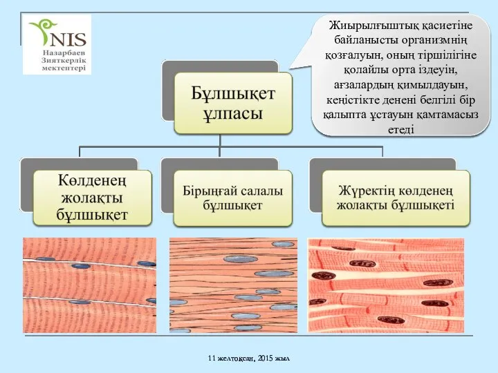 11 желтоқсан, 2015 жыл Жиырылғыштық қасиетiне байланысты организмнiң қозғалуын, оның тiршiлiгіне