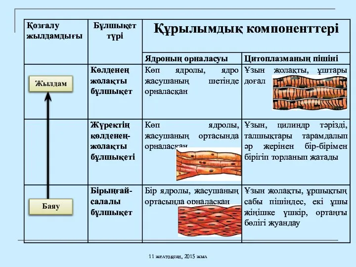 11 желтоқсан, 2015 жыл Жылдам Баяу