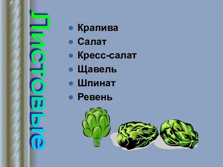 Крапива Салат Кресс-салат Щавель Шпинат Ревень Листовые