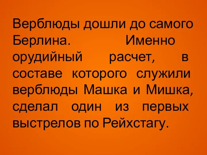 Верблюды дошли до самого Берлина. Именно орудийный расчет, в составе которого