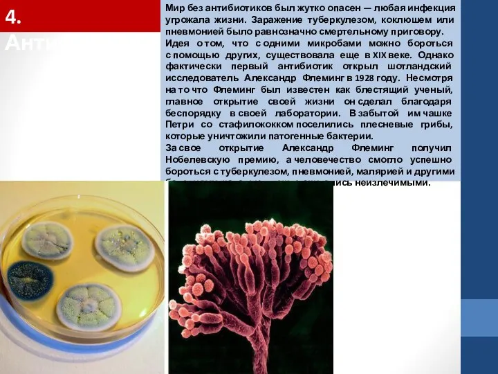 4. Антибиотики Мир без антибиотиков был жутко опасен — любая инфекция