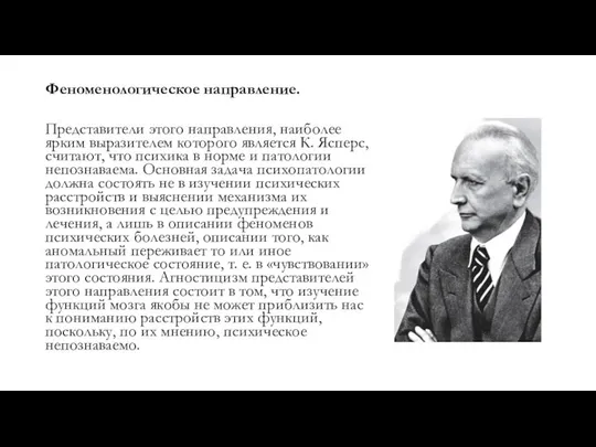 Феноменологическое направление. Представители этого направ­ления, наиболее ярким выразителем которого является К.