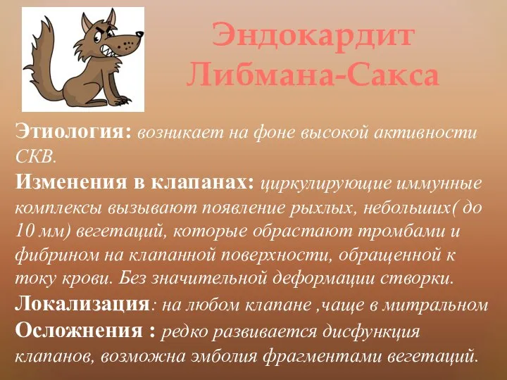 Эндокардит Либмана-Сакса Этиология: возникает на фоне высокой активности СКВ. Изменения в