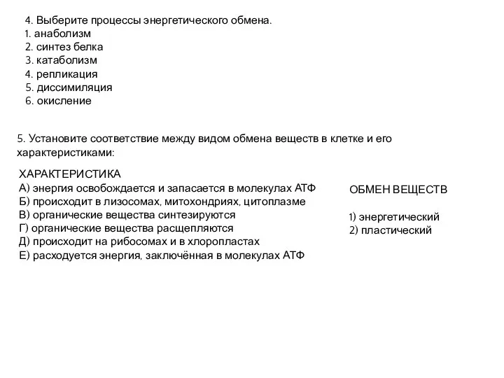 4. Выберите процессы энергетического обмена. 1. анаболизм 2. синтез белка 3.