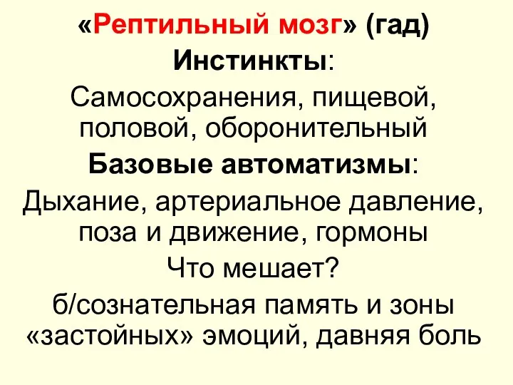 «Рептильный мозг» (гад) Инстинкты: Самосохранения, пищевой, половой, оборонительный Базовые автоматизмы: Дыхание,