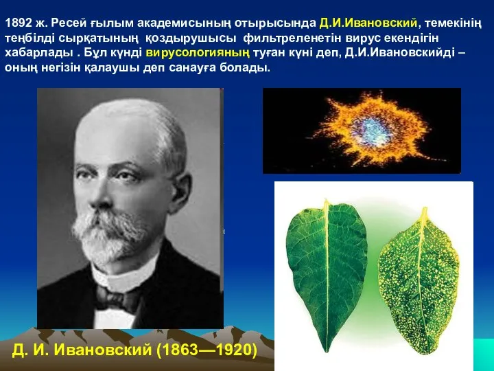 а я 1892 ж. Ресей ғылым академисының отырысында Д.И.Ивановский, темекінің теңбілді