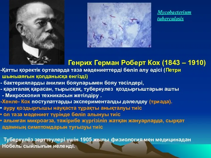 Mycobacterium tuberculosis Генрих Герман Роберт Кох (1843 – 1910) Қатты қоректік