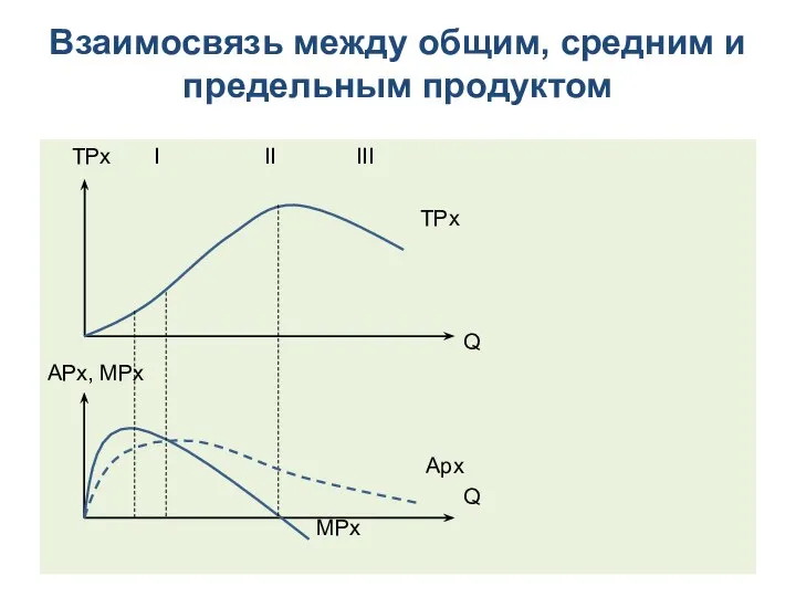 Взаимосвязь между общим, средним и предельным продуктом TPx I II III