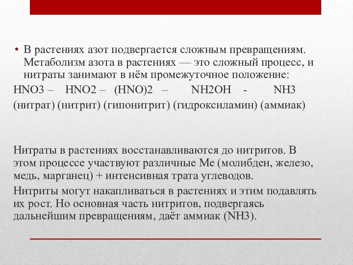 В растениях азот подвергается сложным превращениям. Метаболизм азота в растениях —