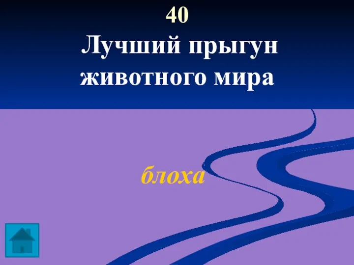 40 Лучший прыгун животного мира блоха