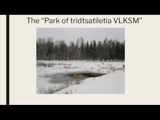 The “Park of tridtsatiletia VLKSM”