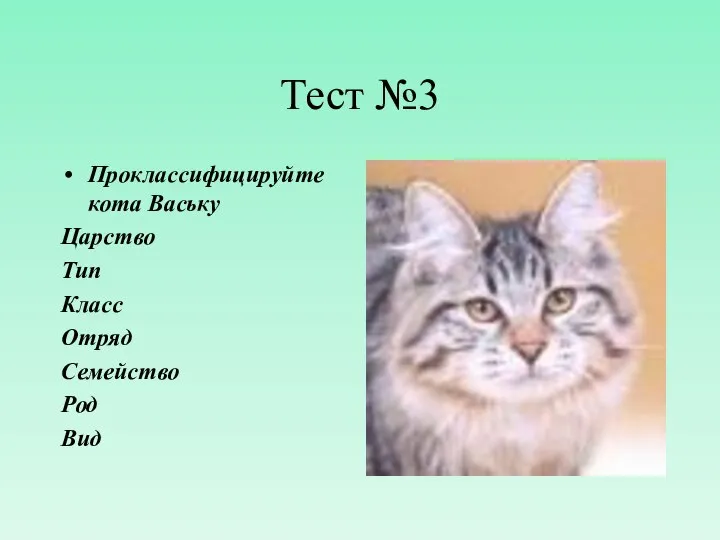 Тест №3 Проклассифицируйте кота Ваську Царство Тип Класс Отряд Семейство Род Вид