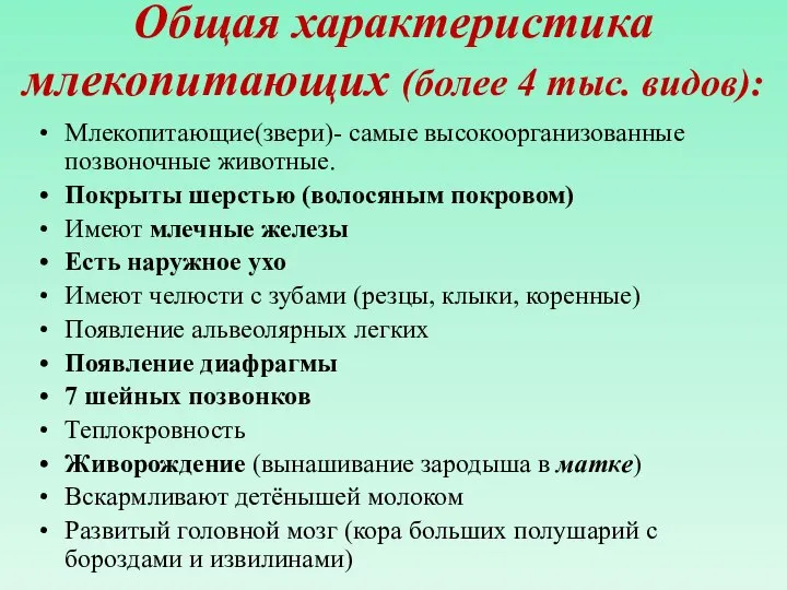 Общая характеристика млекопитающих (более 4 тыс. видов): Млекопитающие(звери)- самые высокоорганизованные позвоночные