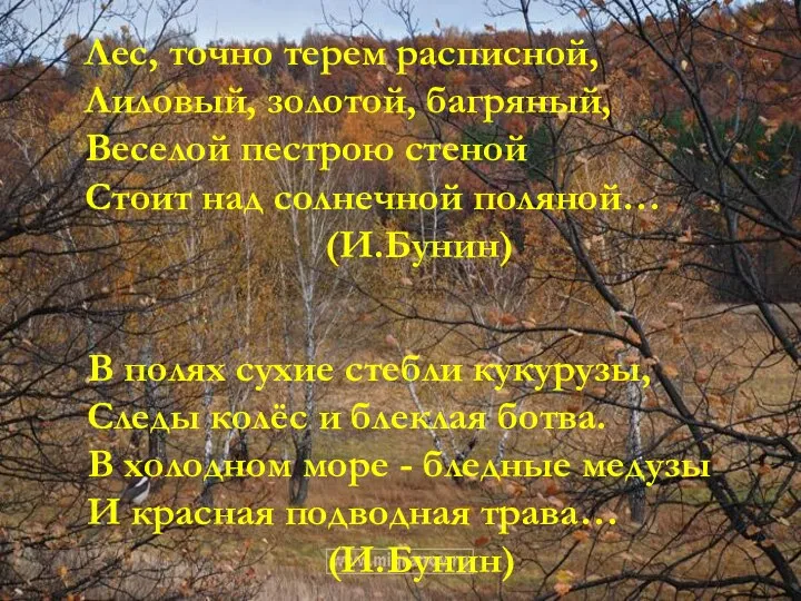 Лес, точно терем расписной, Лиловый, золотой, багряный, Веселой пестрою стеной Стоит