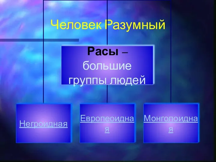 Человек Разумный