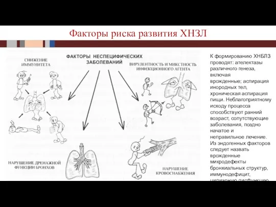 Факторы риска развития ХНЗЛ К формированию ХНБЛЗ проводят: ателектазы различного генеза,