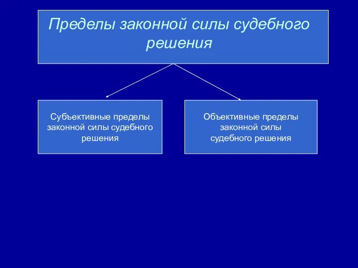 Пределы законной силы судебного решения Субъективные пределы законной силы судебного решения