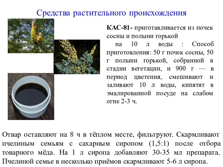 Средства растительного происхождения КАС-81- приготавливается из почек сосны и полыни горькой