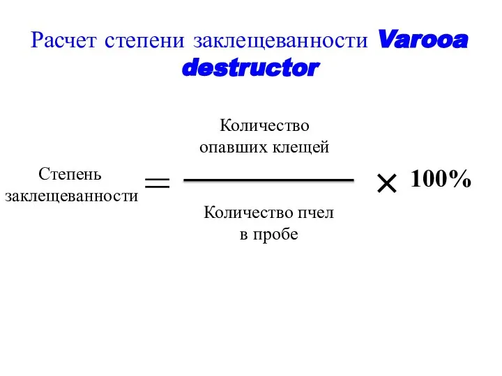 Расчет степени заклещеванности Varooa destructor Степень заклещеванности = Количество опавших клещей